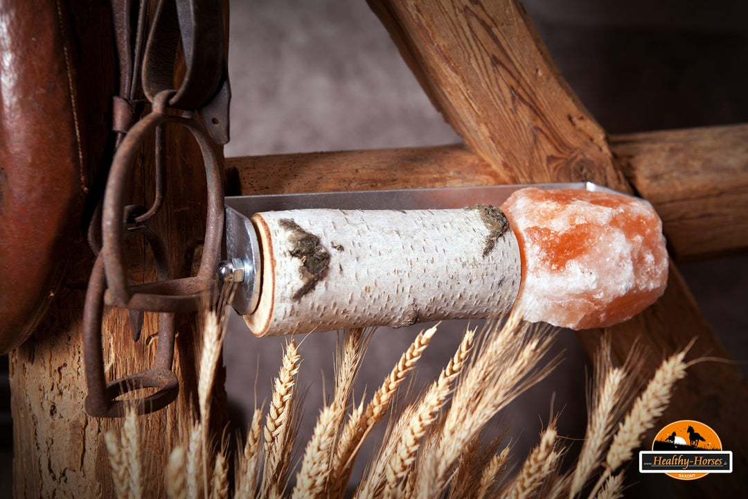 healthy_horses_pferdespass_pferdespielzeug_beschaeftigung_fuer_pferde_knabberholz