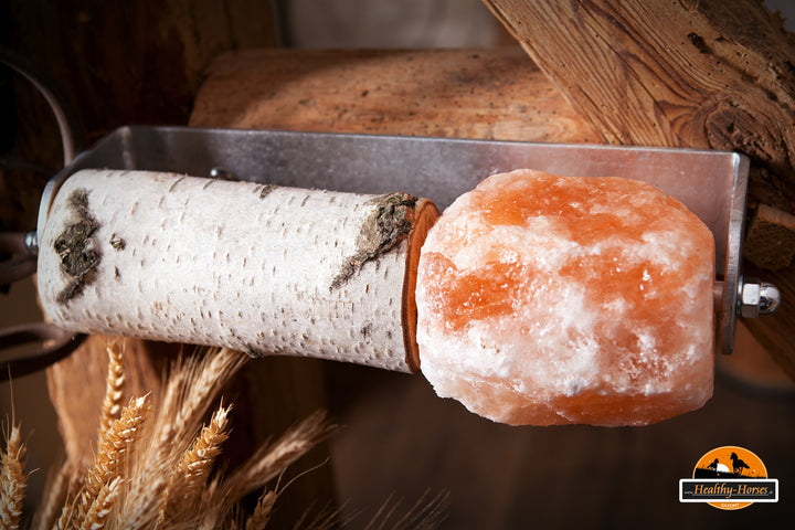 healthy_horses_pferdespass_pferdespielzeug_beschaeftigung_fuer_pferde_knabberholz_himalayasalz