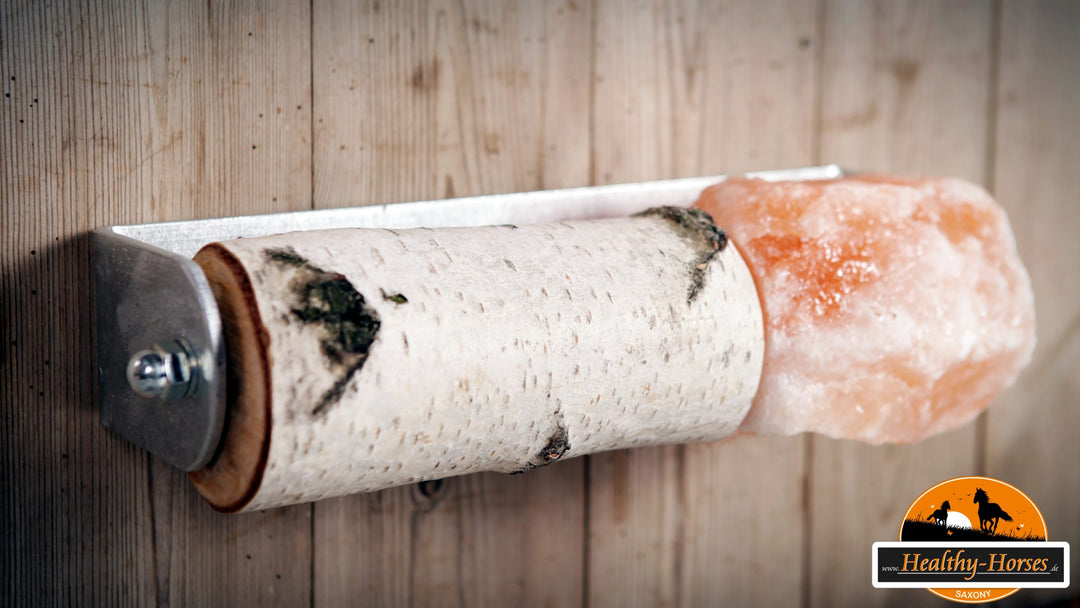 pferdespass-m-salz