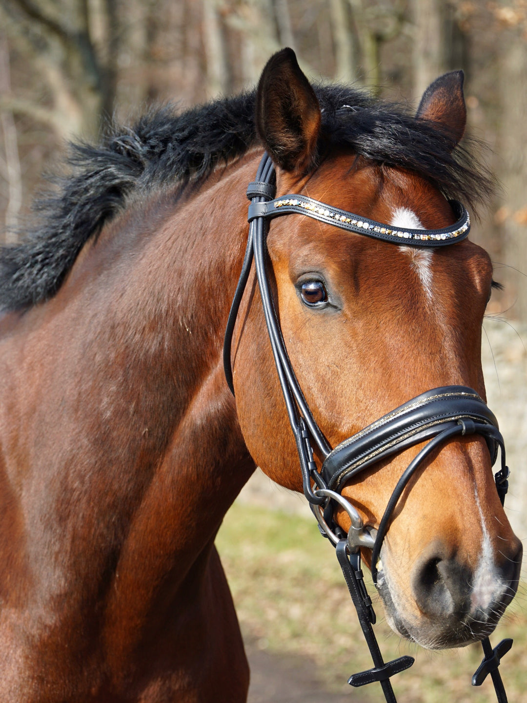 Healthy Horses Trense Bridle Stella Rundgenaeht Glitzer