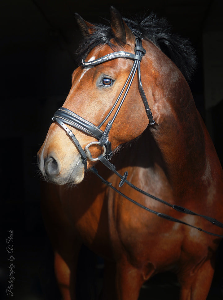 Healthy Horses Trense Bridle Stella Rundgenäht